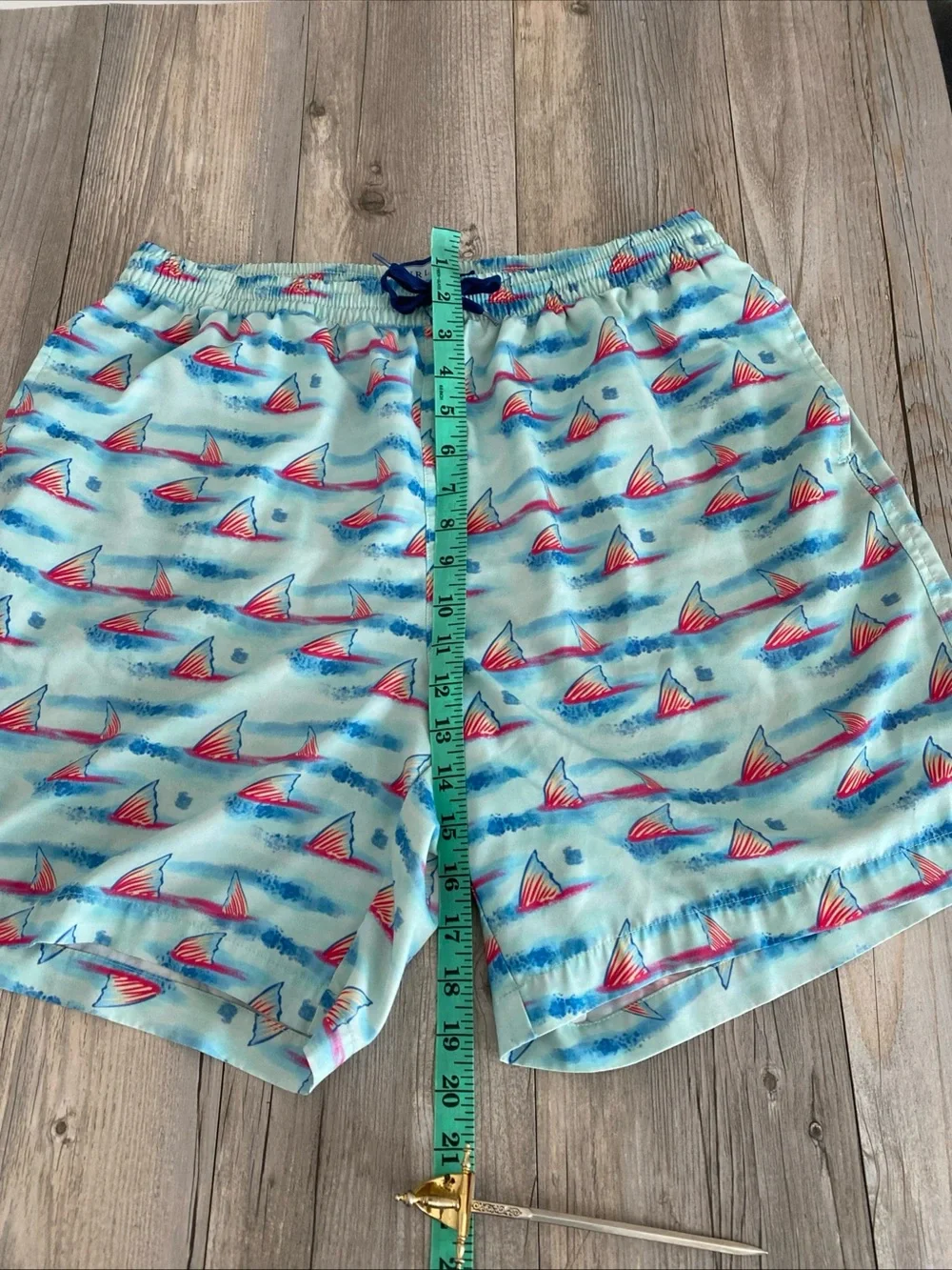 Burlebo Mens Lined Swim Shorts Trunks Colorful Vibrant Fins XL